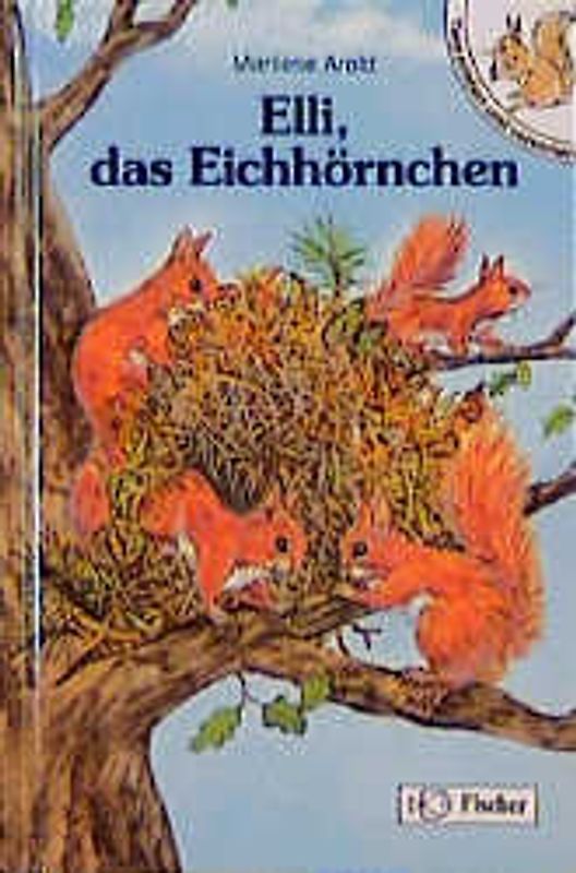 Elli, das Eichhörnchen. Tiere erleben und verstehen. Grossschrift
