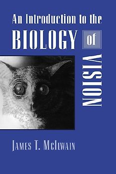 An Introduction to the Biology of Vision