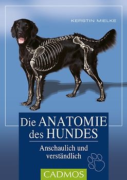 Die Anatomie des Hundes