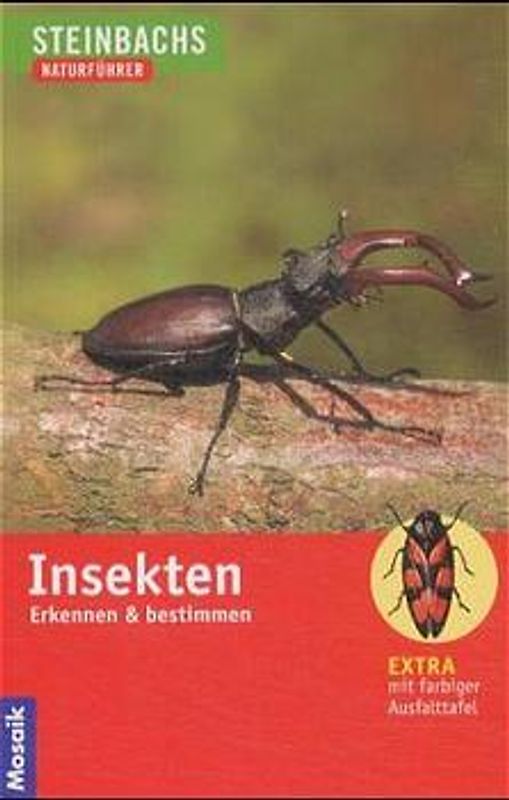 Insekten