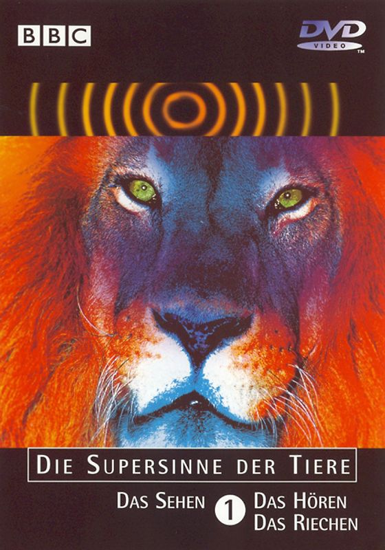 Die Supersinne der Tiere - Teil 1 DVD