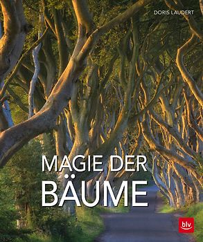 Magie der Bäume
