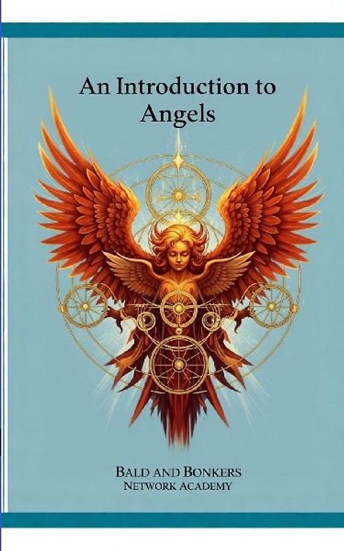 An Introduction to Angels