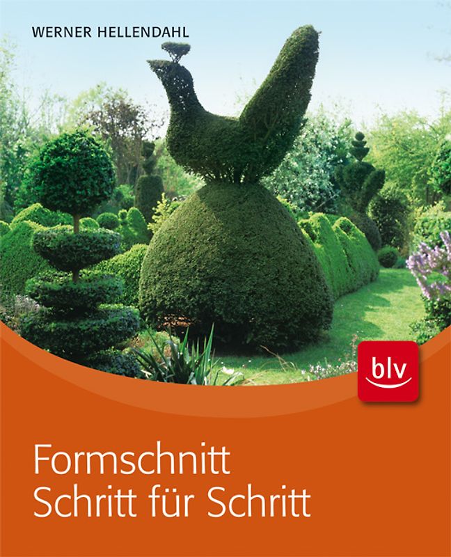 Formschnitt Schritt für Schritt