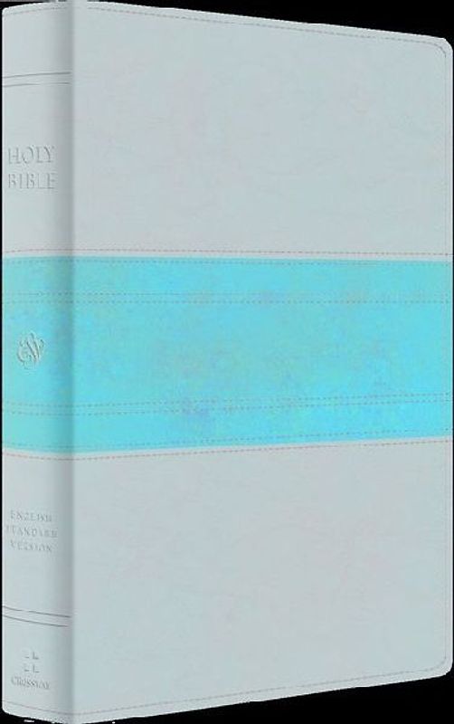 ESV Giant Print Personal Size Bible (Trutone, Forest/Tan, Trail Design)