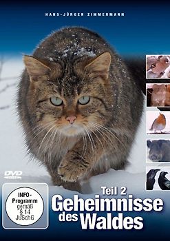Geheimnis des Waldes - Teil 2 DVD