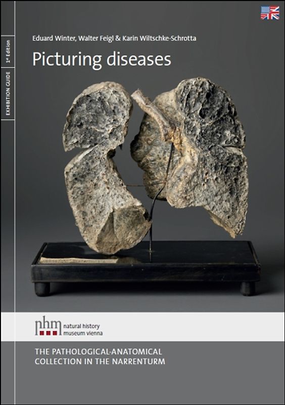 Picturing Diseases