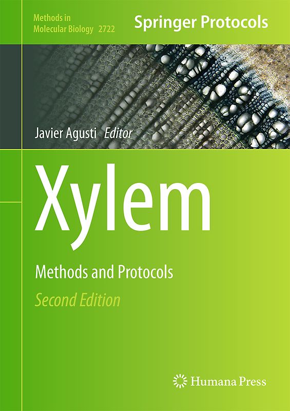 Xylem