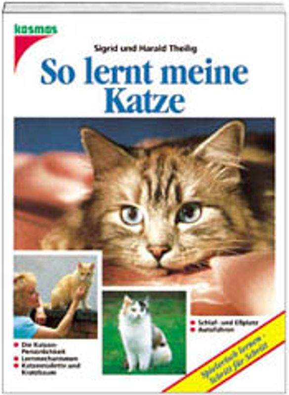 So lernt meine Katze