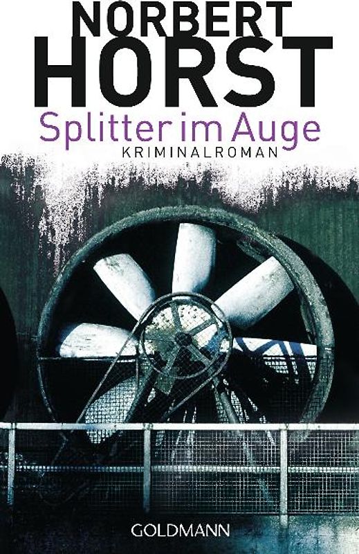 Splitter im Auge
