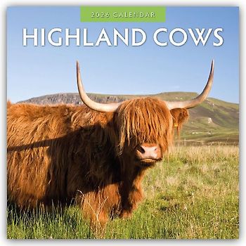 Highland Cows 2026 Square Wall Calendar