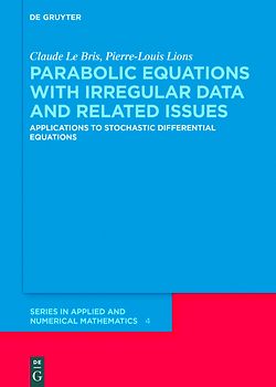 Parabolic Equations with Irregular Data and Related Issues