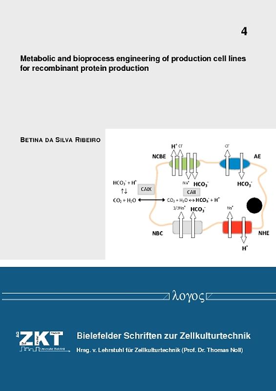 Metabolic and bioprocess engineering of production cell lines for recombinant protein production