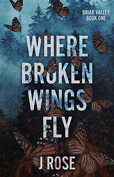 Where Broken Wings Fly: A Small Town Reverse Harem Romance