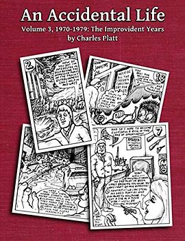 An Accidental Life: Volume 3, 1970-1979: The Improvident Years