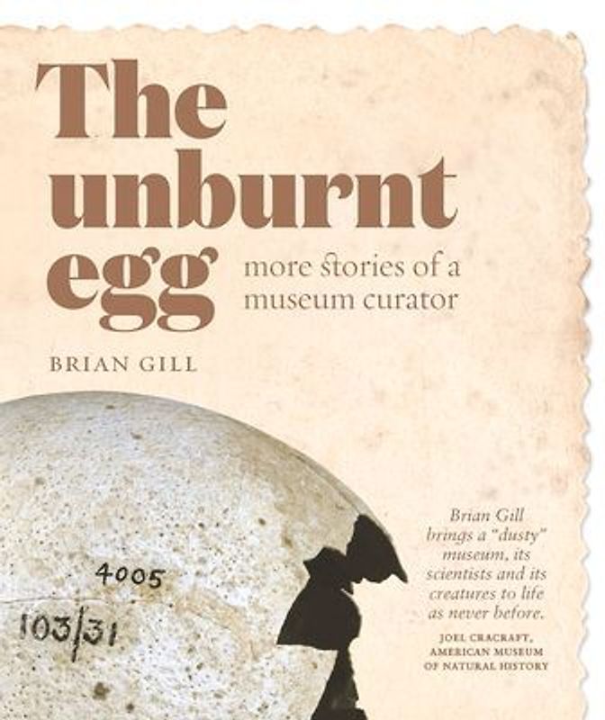 The Unburnt Egg