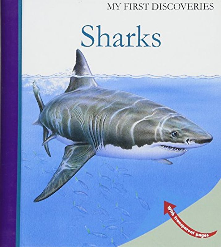 Sharks (My First Discoveries, Band 45)