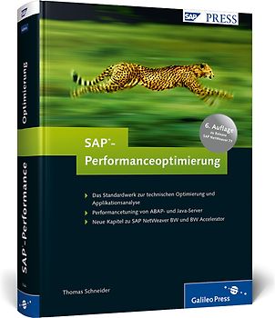 SAP-Performanceoptimierung
