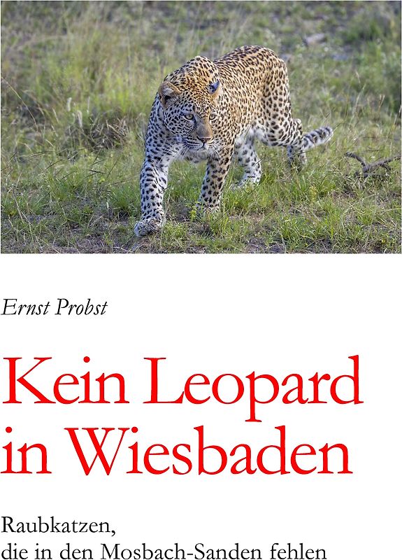 Kein Leopard in Wiesbaden