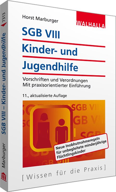 SGB VIII - Kinder- und Jugendhilfe