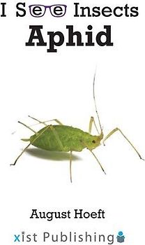 Aphid