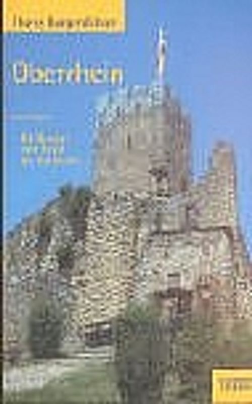 Theiss Burgenführer Oberrhein