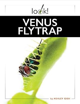 Venus Flytrap