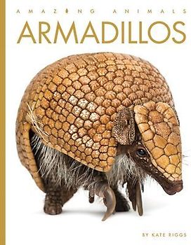 Armadillos