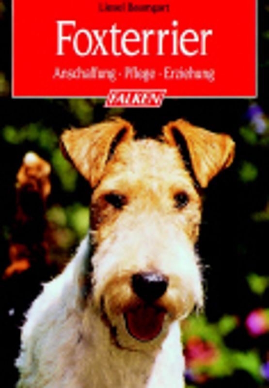 Foxterrier - Auswahl, Pflege, Erziehung