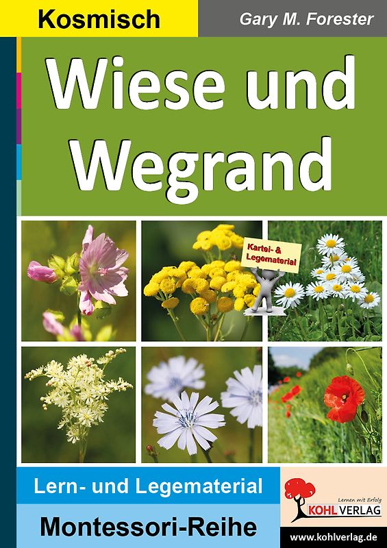Wiese und Wegrand