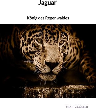 Jaguar - König des Regenwaldes