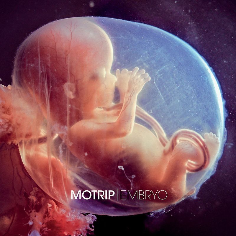 MoTrip - Embryo