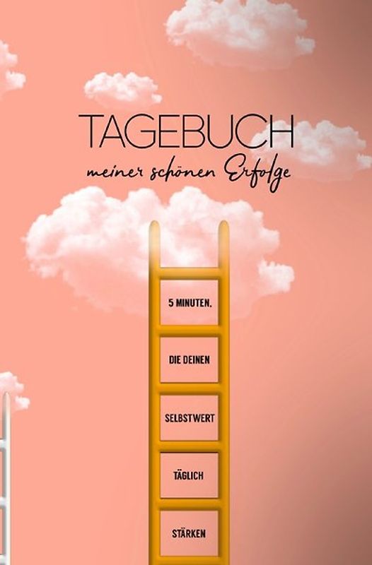Tagebuch meiner schönen Erfolge (Taschenbuch)