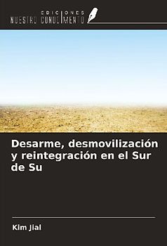 Desarme, desmovilización y reintegración en el Sur de Su