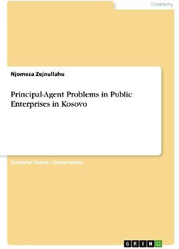Principal-Agent Problems in Public Enterprises in Kosovo