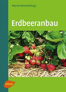 Erdbeeranbau