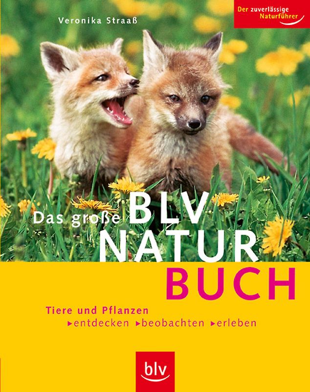 Das grosse BLV Naturbuch