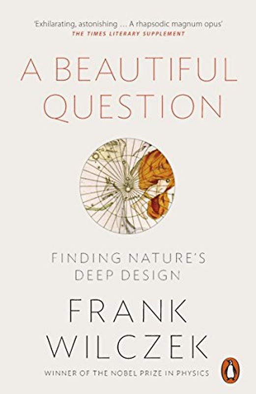 Quantum Beauty - Frank  Wilczek