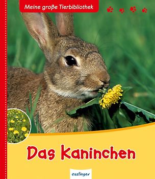Meine große Tierbibliothek: Das Kaninchen