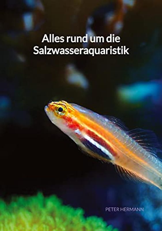 Alles rund um die Salzwasseraquaristik