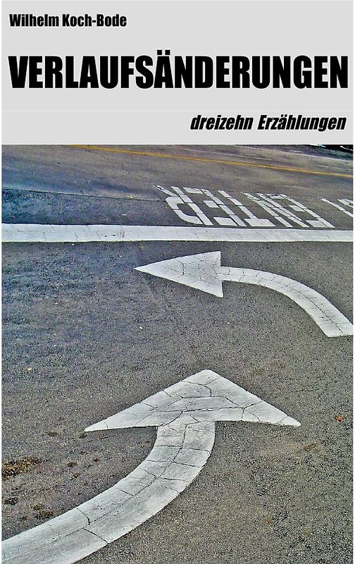 Verlaufsänderungen - dreizehn Erzählungen