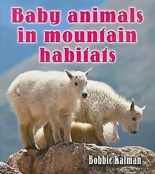 Baby Animals in Mountain Habitats