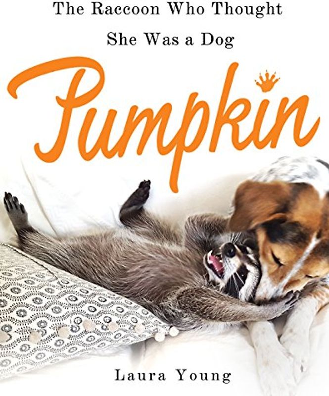 Pumpkin: The Raccoon Who Thought She Was a Dog