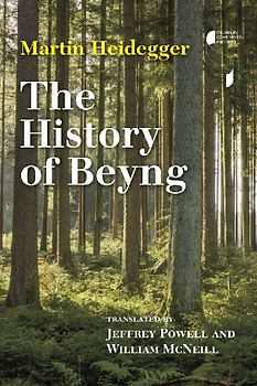 History of Beyng