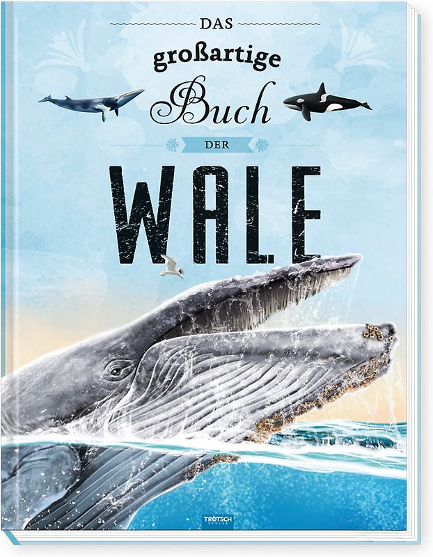 Trötsch Kinderbuch Das großartige Buch der Wale| Ab 8 Jahren