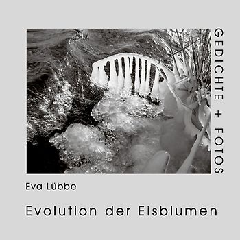 Evolution der Eisblumen
