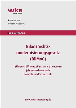Praxisleitfaden Bilanzrechtsmodernisierungsgesetz (BilMoG)