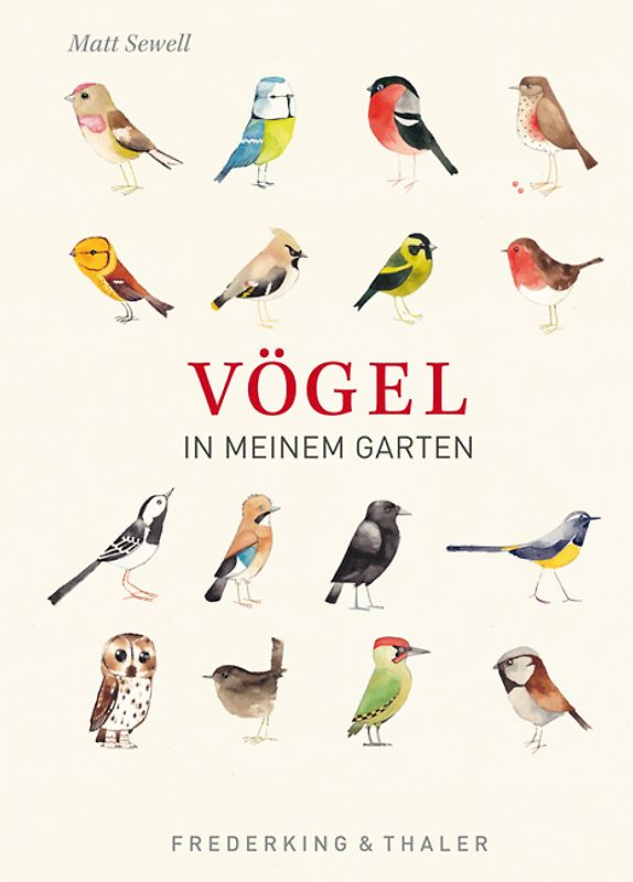Vögel in meinem Garten