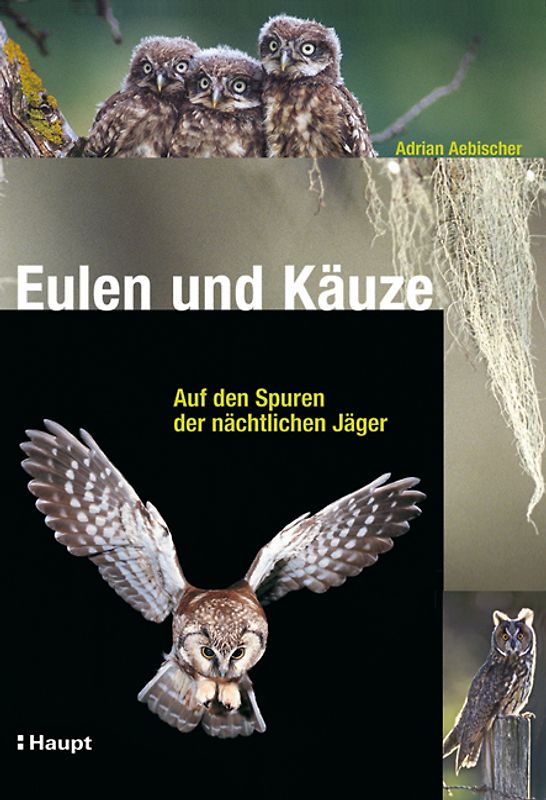Eulen und Käuze