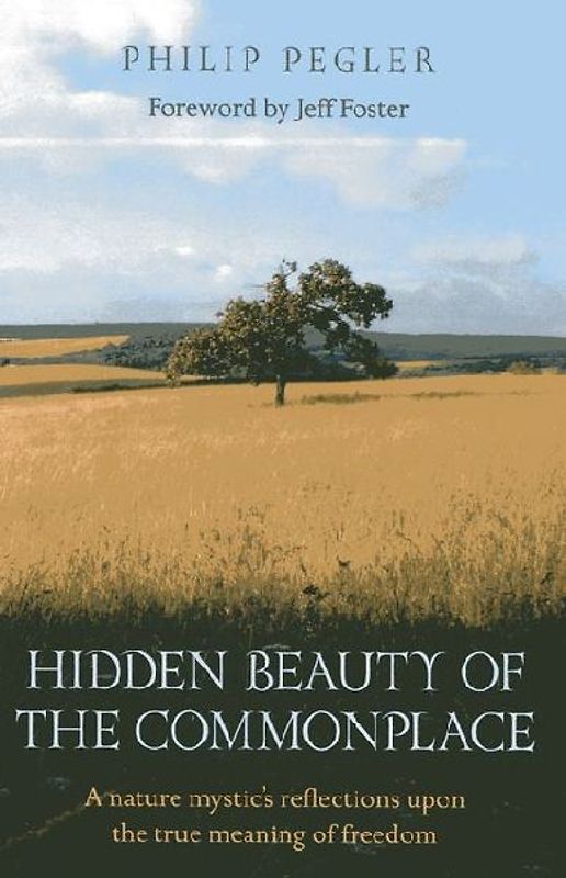 Hidden Beauty of the Commonplace